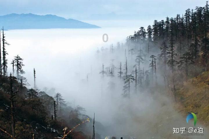 独狼逃跑