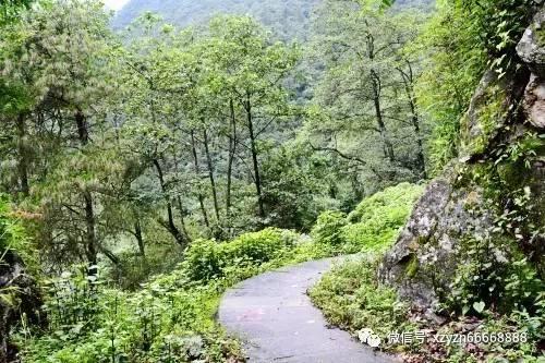 麦克斯：兄弟魔咒