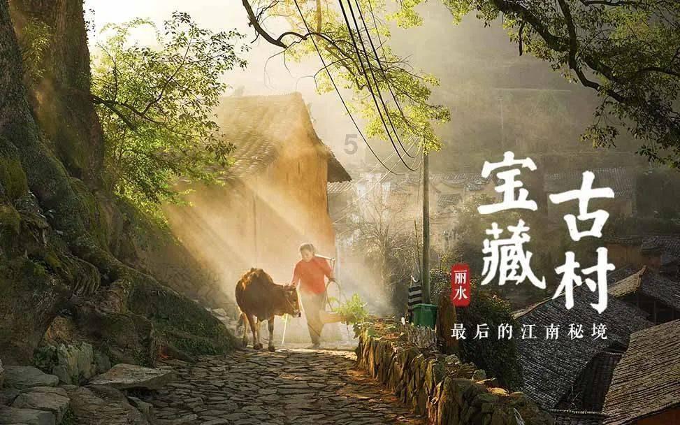 错别字大追捕