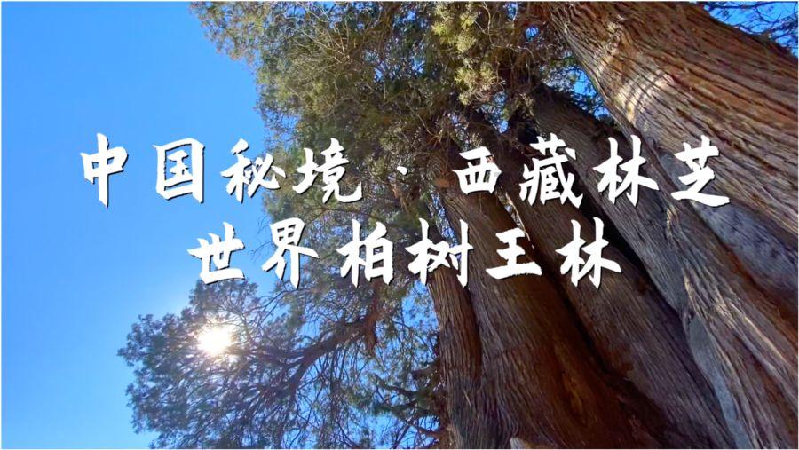 统一科技石英砖常价直销确保客户的满意度和信赖度
