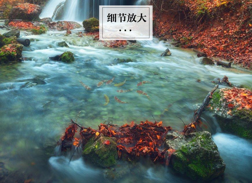 关于网友反映“三亚一流动摊贩卖水果缺斤短两”问题的调查情况通报