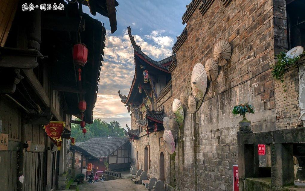 破碎的动物图形