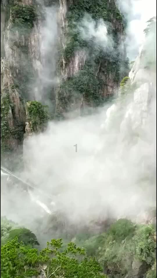 小猫钓鱼正版下载中文版